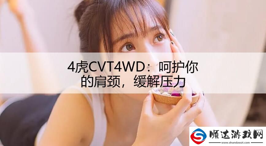 4虎CVT4WD